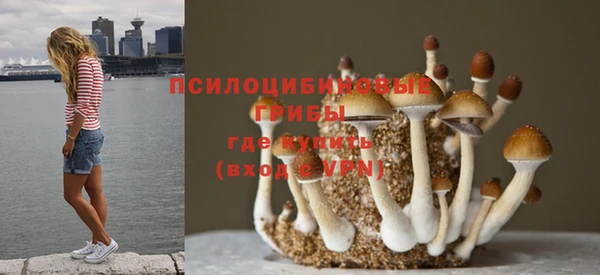 дурь Волоколамск