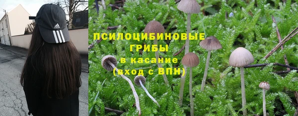 гашишное масло Володарск