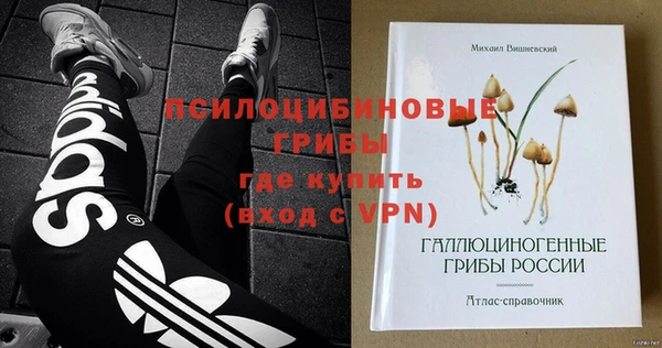 дурь Волоколамск